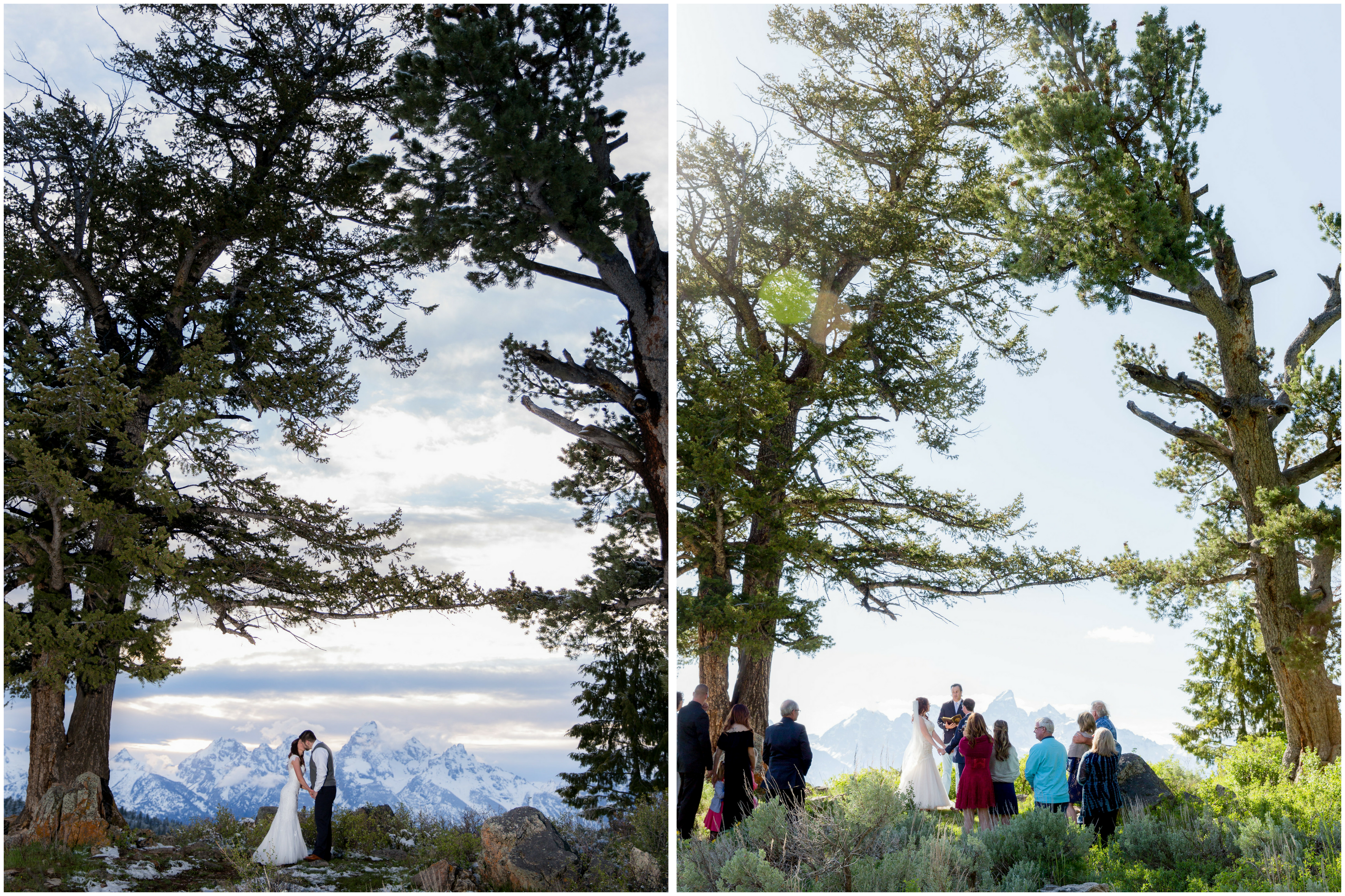 Wedding Tree Grand Teton