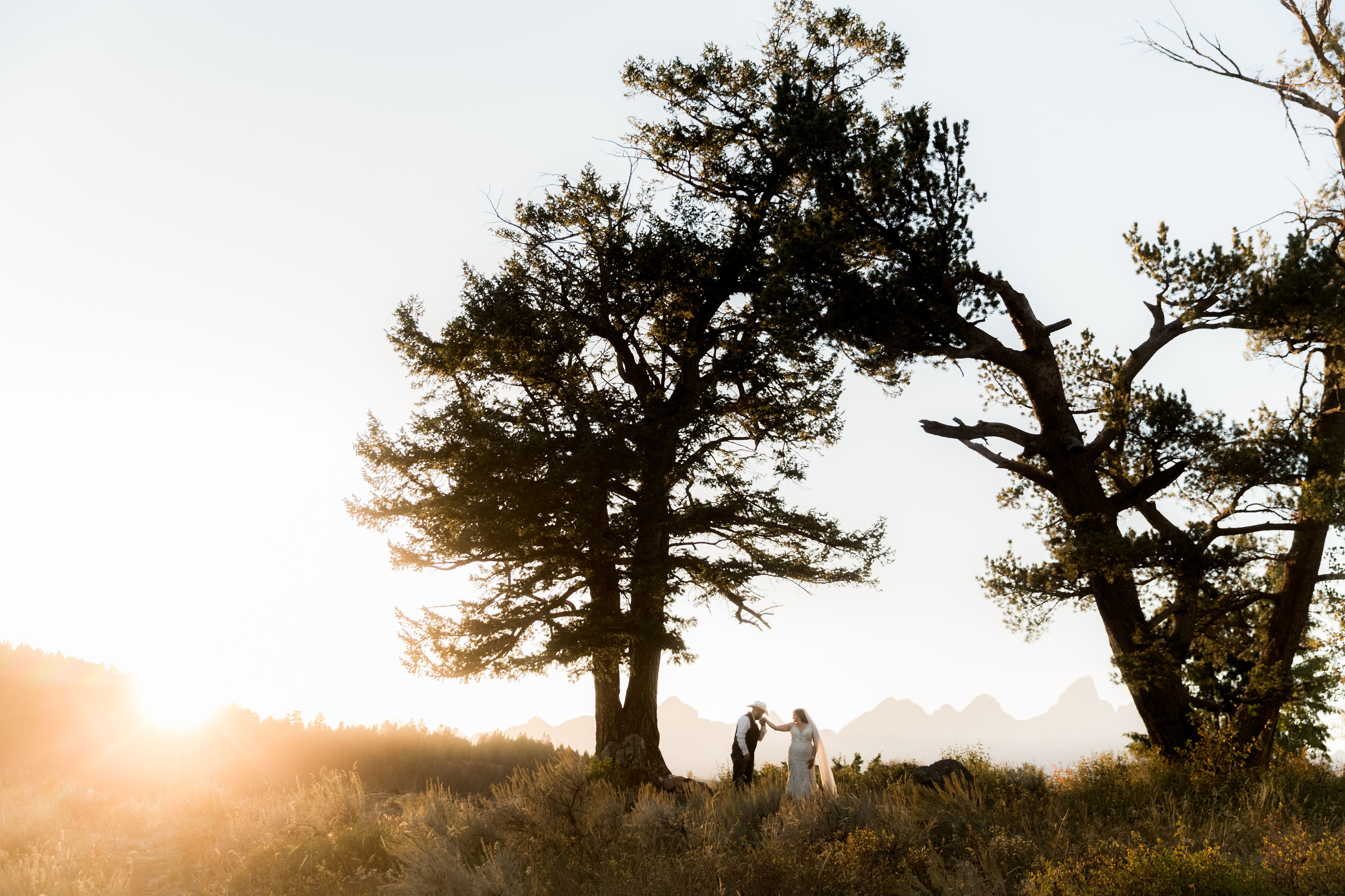 The wedding tree Grand Teton National Park