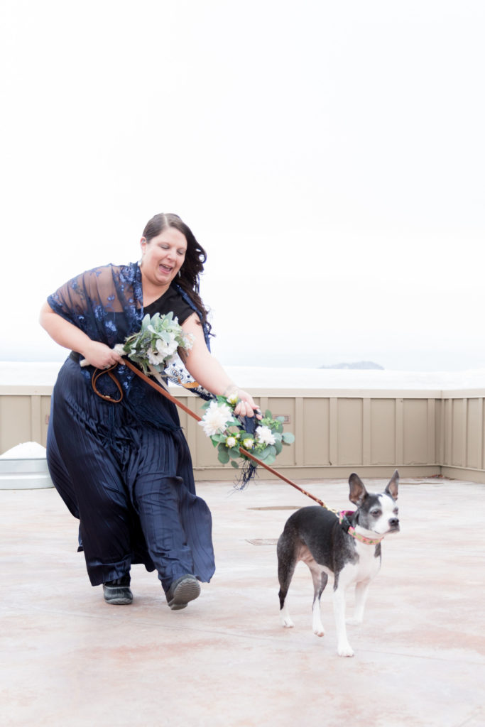 dogs in wedding