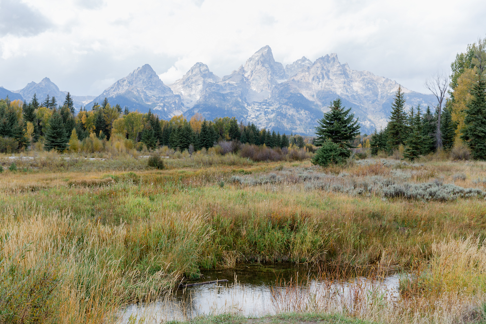 Get married in Grand Teton National Park for views like these of the Tetons