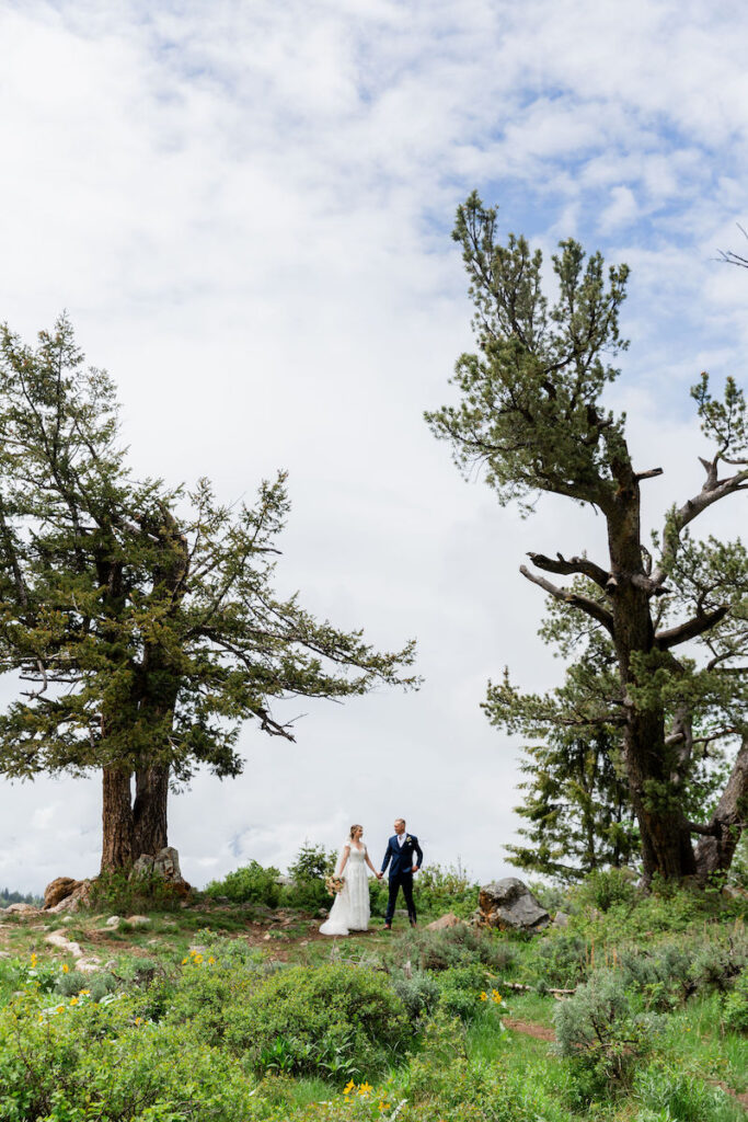 The Wedding Tree in Jackson Hole | Jamye Chrisman