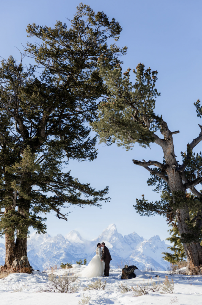 A couple kisses under the Wedding Tree during their micro wedding in the winter in Jackson Hole Wyoming. Jamye Chrisman Photography 